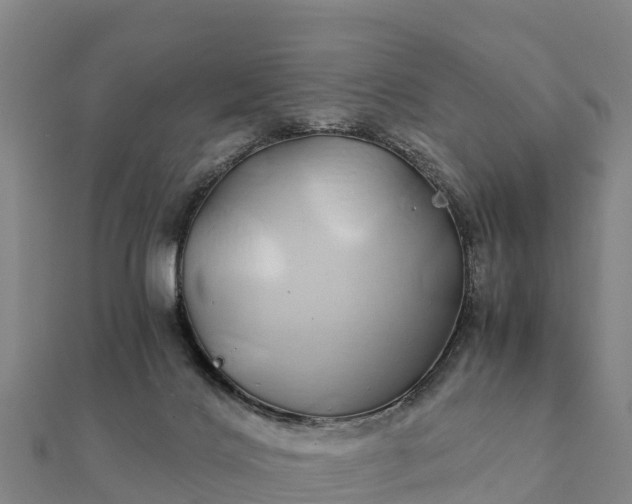 X0000112110028200908181357