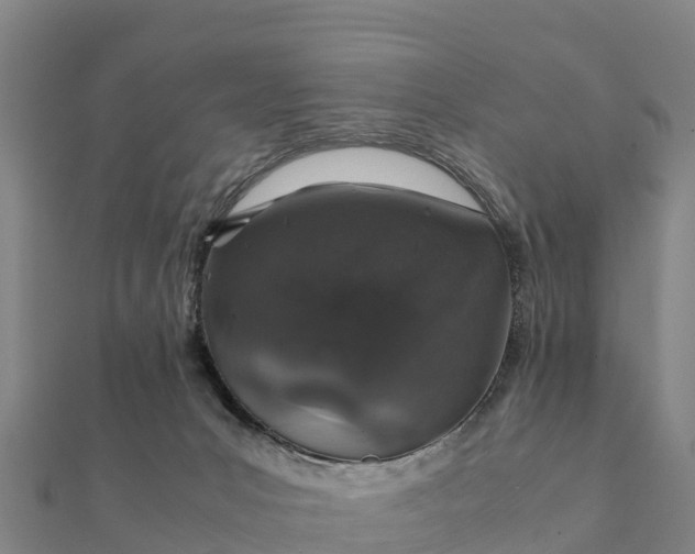 X0000112110031200908181357