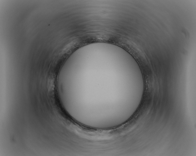 X0000112110032200908181357