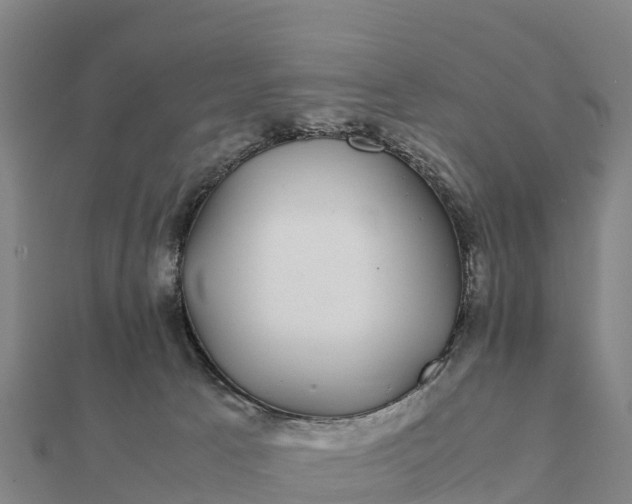 X0000112110033200908181357