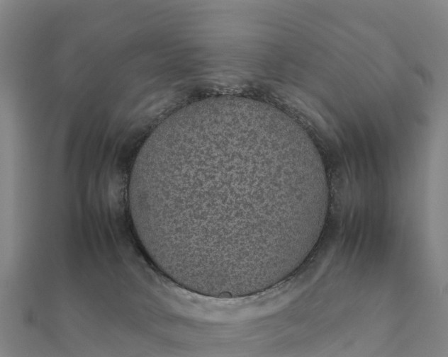 X0000112110034200908181357