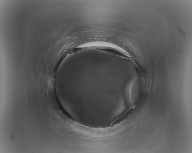 X0000112110035200908181357