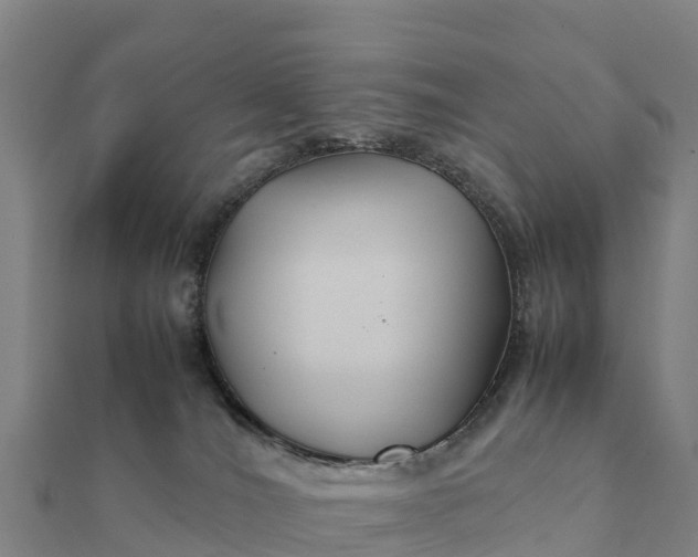 X0000112110036200908181357