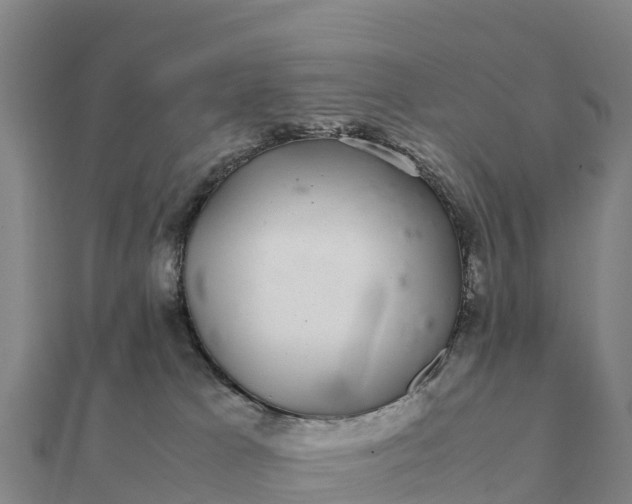 X0000112110037200908181357