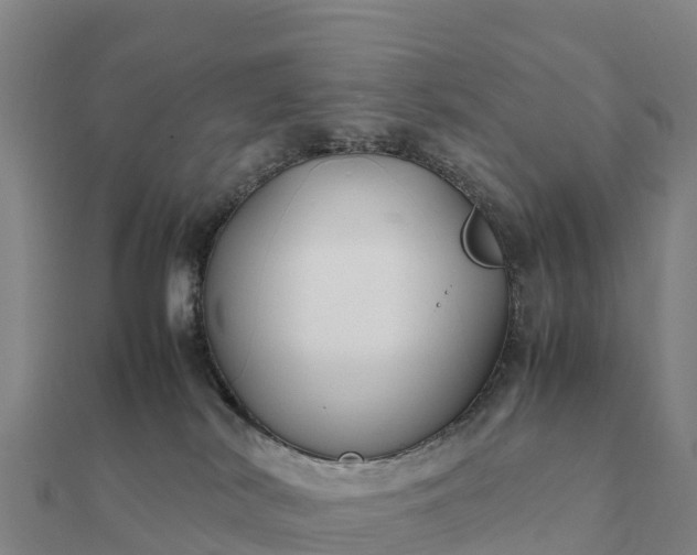 X0000112110038200908181357