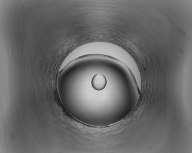 X0000112110039200908181357