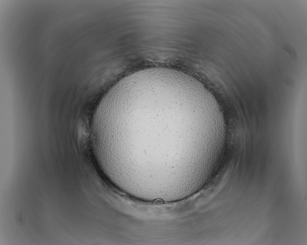 X0000112110040200908181357