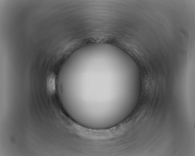 X0000112110042200908181357