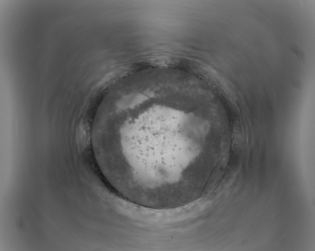 X0000112110043200908181357