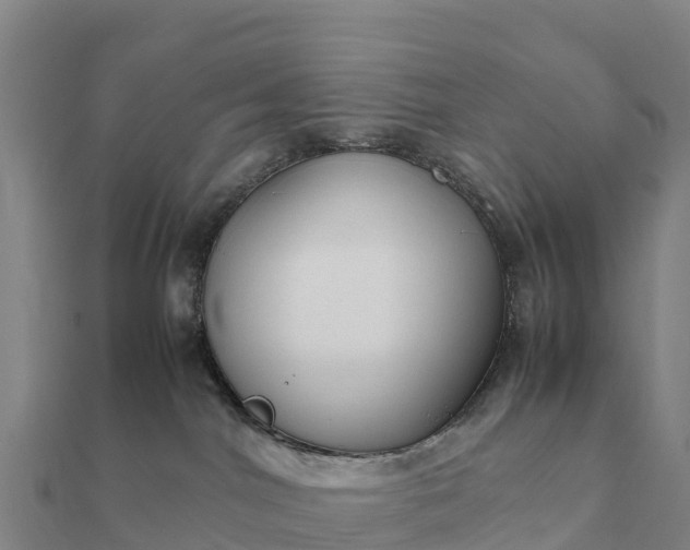 X0000112110044200908181357