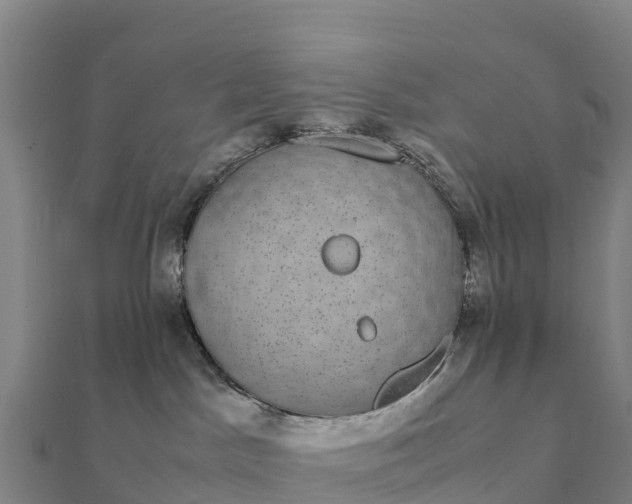 X0000112110045200908181357