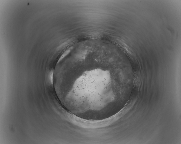 X0000112110047200908181357