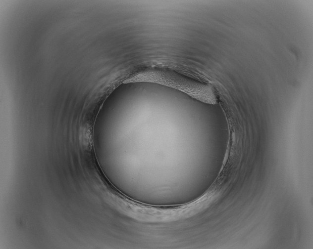 X0000112110048200908181357