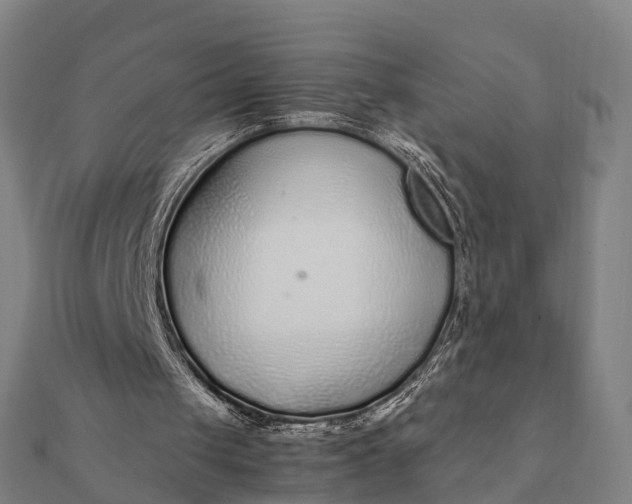 X0000112110049200908181356