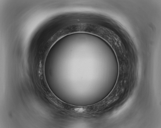 X0000112110050200908181356