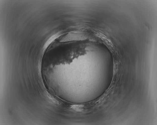 X0000112110051200908181356