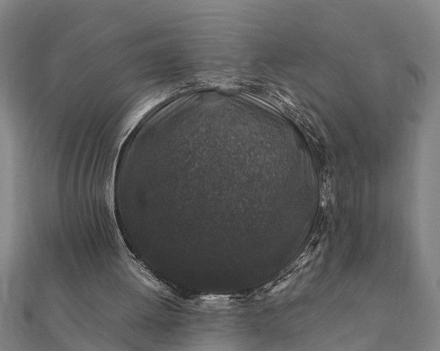 X0000112110052200908181356