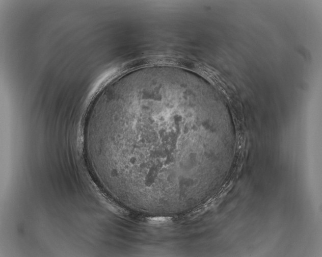 X0000112110053200908181356