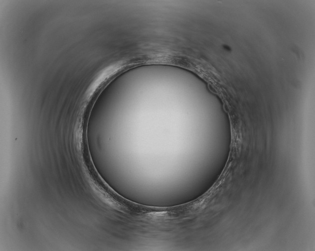 X0000112110054200908181356