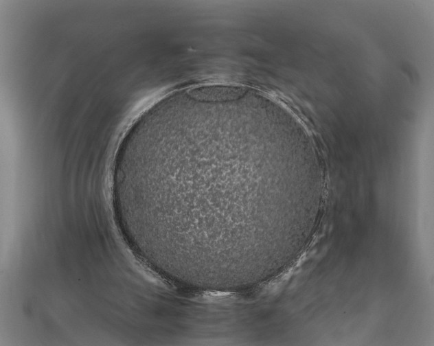 X0000112110055200908181356