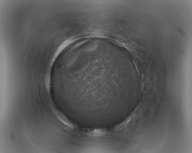 X0000112110056200908181356