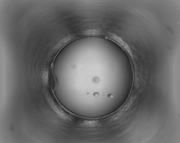 X0000112110057200908181356