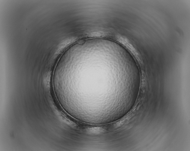 X0000112110058200908181356