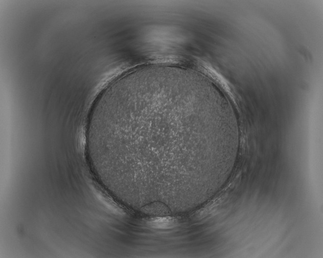 X0000112110059200908181356