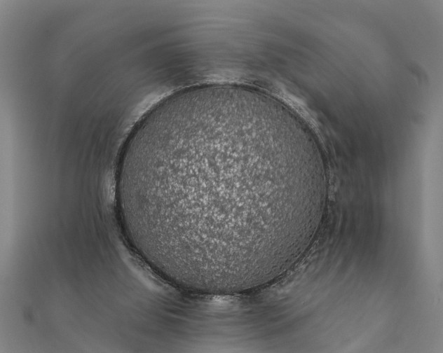 X0000112110060200908181356