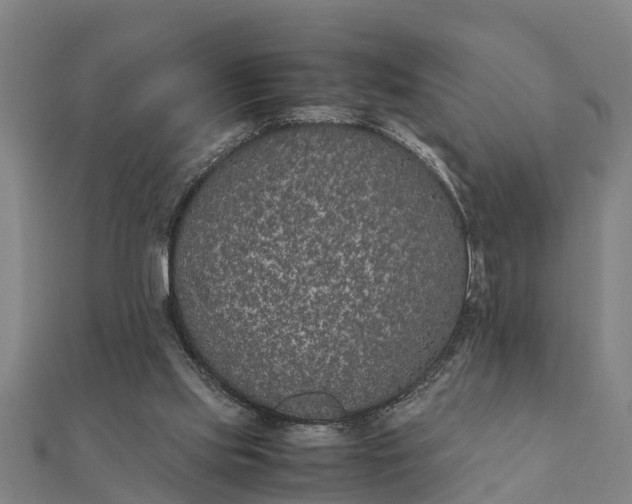 X0000112110061200908181356