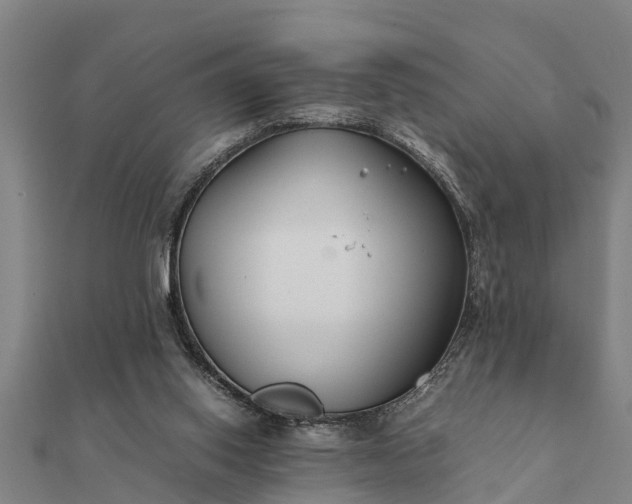 X0000112110062200908181356