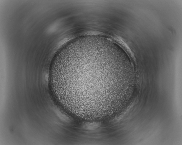 X0000112110063200908181357