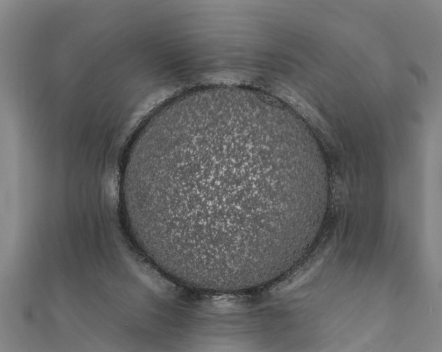 X0000112110064200908181357