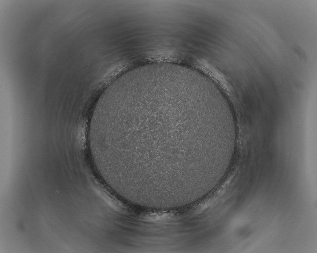 X0000112110065200908181357