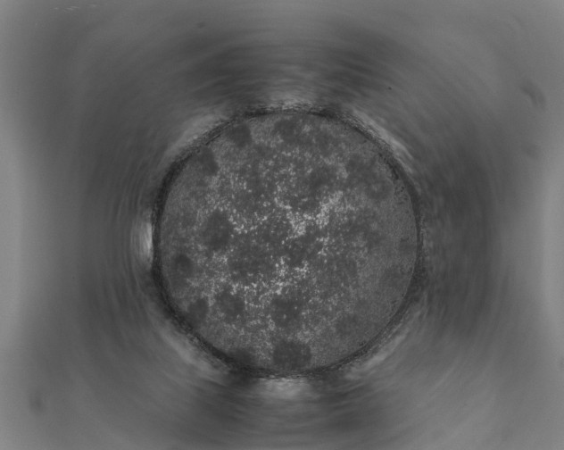 X0000112110067200908181357