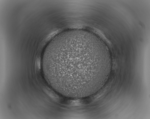 X0000112110068200908181357