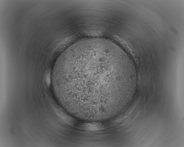 X0000112110069200908181357