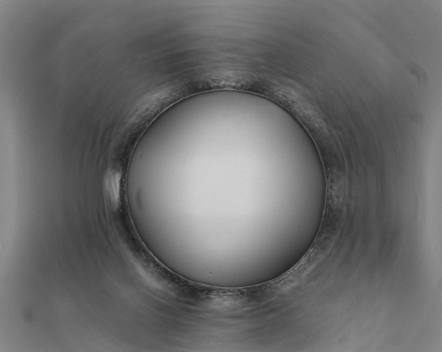 X0000112110070200908181357