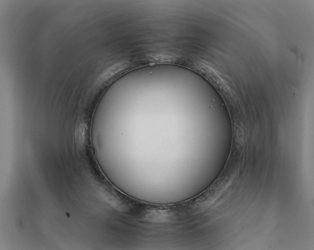 X0000112110071200908181357