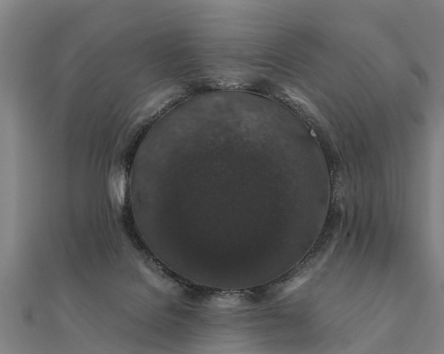 X0000112110076200908181357