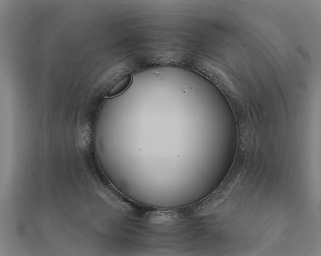 X0000112110077200908181357