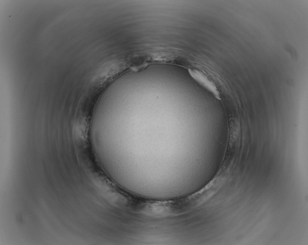 X0000112110078200908181357