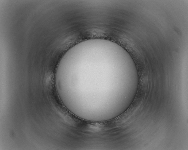 X0000112110079200908181357