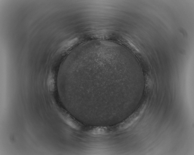 X0000112110080200908181357