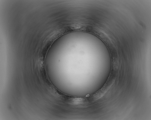 X0000112110085200908181357