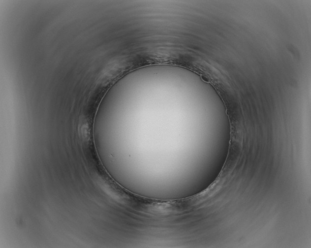 X0000112110086200908181357