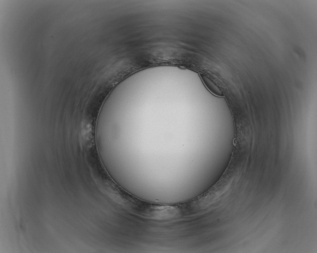 X0000112110087200908181357