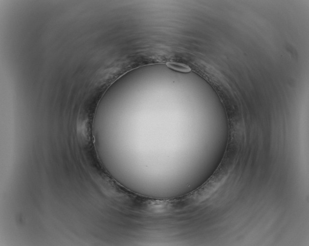 X0000112110088200908181357