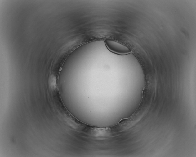 X0000112110089200908181357