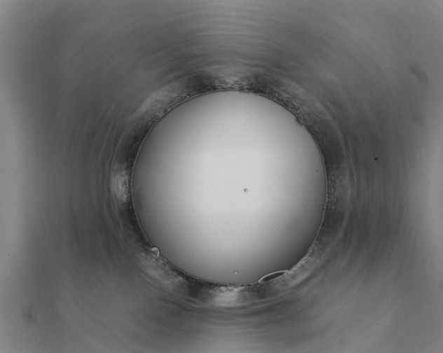 X0000112110090200908181357